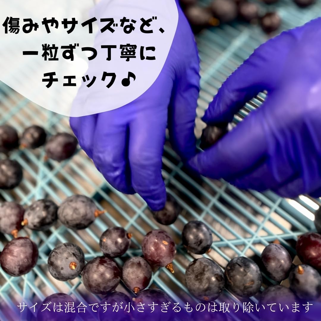 Amazon.co.jp: 冷凍 種あり 巨峰 1kg (500g×2袋) 秀優混合 サイズ